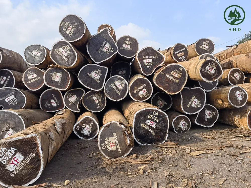 Dabema Wood Logs