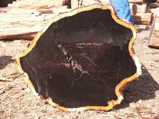 Ebony-Black-Ebony-Wood-Logs